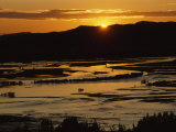 Twilight over Marshes, Genghis Khan Coverage Photographic Print by James L. Stanfield