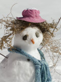 Snowman with a Carrot Nose, Fake Hair, Hat, and Scarf, California Photographic Print by Rich Reid