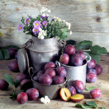 Still Life with Fresh Plums in and in Front of Pots & Pans Photographic Print