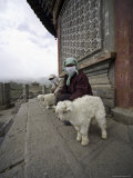 Women and Lambs at the Temple of the Sun and Moon, Qinghai, China Photographie par David Evans