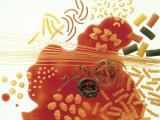 Several Types of Noodles, Tomato Sauce Photographic Print