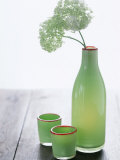 Green Bottle with Flowers and Green Glasses Photographic Print by Alena Hrbkova