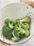 Freshly Washed Broccoli Florets in Sieve Photographic Print by William Lingwood