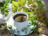 Herb Tea with Various Fresh Herbs Photographic Print by Roland Krieg