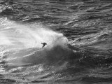 Wind and Waves,Southern Ocean, Drakes Passage, Antarctica Photographie par Ralph Lee Hopkins