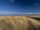 Windblown Grass Plains and an Empty Country Road Beckon Exploring, Australia Photographie par Jason Edwards