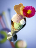 Strawberry, Pistachio & Chocolate Ice Cream, Cream & Wafers Photographie par Martina Urban