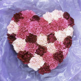 Heart Shape in Red and White Carnations Photographic Print by Alena Hrbkova Heart Shape in Red and White Carnations Photographic Print by Alena Hrbkova