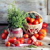 Still Life with Tomatoes and Flowering Basil in a Vase Reprodukcja zdjęcia Still Life with Tomatoes and Flowering Basil in a Vase Reprodukcja zdjęcia