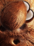 Artistically Arranged Still Life with Coconuts Photographic Print by Dieter Heinemann