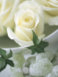 White Roses in a Bowl Photographic Print by Jean Cazals