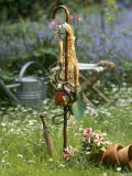 Garden Tools Hanging up on a Stick on Large Lawn Photographic Print by Roland Krieg