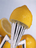Lemon Half on Metal Juicer Photographic Print by Alexander Feig