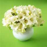 Bouquet of White Freesias in Spherical Vase Photographie par Michael Paul