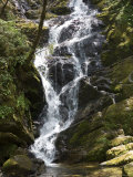 Waterfall in Shennongjia Forest, Hubei Province, China Photographie par David Evans