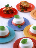 Tomato & Sheep Cheese Mousse & Vegetable Lasagne, Party Buffet Photographic Print by Jörn Rynio