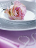 Rose on a Plate as Table Decoration Photographic Print by Alena Hrbkova