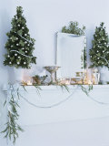 Window Sill Decorated for Christmas Photographic Print by Miki Duisterhof