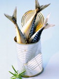 Three Fish (Mackerel) in a Tin Valokuvavedos tekijänä Marc O. Finley Three Fish (Mackerel) in a Tin Valokuvavedos tekijänä Marc O. Finley