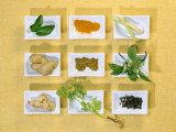 Asian Herbs and Spices Photographic Print by Christiane Krüger