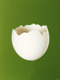 Half a White Egg Shell Photographic Print by Bodo A. Schieren