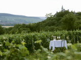 Table with Champagne Glasses in Vineyard in Champagne Photographic Print by Joerg Lehmann