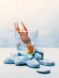 Freshwater Crayfish in a Glass of Water Fotografisk tryk af Tim Thiel Freshwater Crayfish in a Glass of Water Fotografisk tryk af Tim Thiel