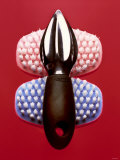 Manual Lemon Squeezer and Two Brushes Photographic Print by Hartmut Kiefer