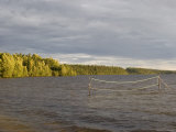 Volleyball Net Underwater Photographie par Skip Brown