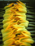 Courgette Flowers on a Market Stall Fotografisk tryk af Marc O. Finley Courgette Flowers on a Market Stall Fotografisk tryk af Marc O. Finley