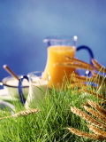 Healthy Ingredients (Quark, Milk, Juice, Cereals) on Grass Fotografická reprodukce Healthy Ingredients (Quark, Milk, Juice, Cereals) on Grass Fotografická reprodukce