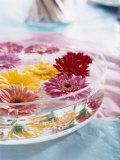 A Bowl of Flowers Floating in Water (Table Decoration) Fotografie-Druck von Alexander Van Berge