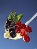 A Spoonful of Berries and Vanilla Pudding Photographic Print by Gaby Bohle