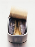 Sardines in Opened Tin Fotografisk trykk av Steve Baxter