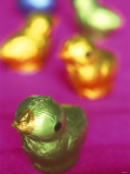 Small Colourfully Wrapped Chocolate Chickens Photographic Print by Francesca Yorke