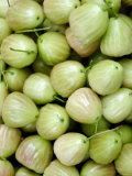 Green Java Apples Photographic Print