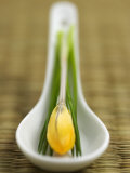 Asian Soup Spoon with Yellow Flower Photographic Print by Elisabeth Cölfen