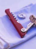 Waiter's Knife with Cork Photographic Print by Peter Medilek