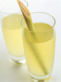 Chris Alack - Lemon Grass Lemonade in Two Glasses Fotografická reprodukce Chris Alack - Lemon Grass Lemonade in Two Glasses Fotografická reprodukce