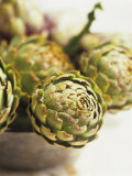 Fresh Artichokes Photographic Print by Debi Treloar