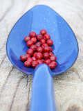 Pink Pepper in Blue Spoon Photographic Print by Frank Tschakert