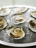 Oysters on Ice Photographic Print by Matilda Lindeblad