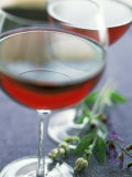 Two Glasses of Pinot Noir Fotografisk trykk av Leigh Beisch