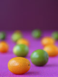 Kumquats and Limequats Photographic Print by Sebastian Vogt