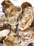 Fresh Oysters Photographic Print by Alain Caste