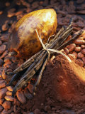 Still Life with Cocoa and Vanilla Pods Fotografisk tryk af Marc O. Finley Still Life with Cocoa and Vanilla Pods Fotografisk tryk af Marc O. Finley