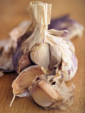 A Dried Garlic Bulb Photographic Print by Steven Morris
