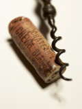 Wine Cork with Corkscrew Lámina fotográfica por Joerg Lehmann