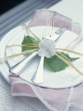 Place-Setting with Cutlery, Decorated with Raffia & Flower Photographic Print by Maja Smend