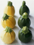 Small, Round, Yellow and Green Courgettes Photographic Print by Debi Treloar